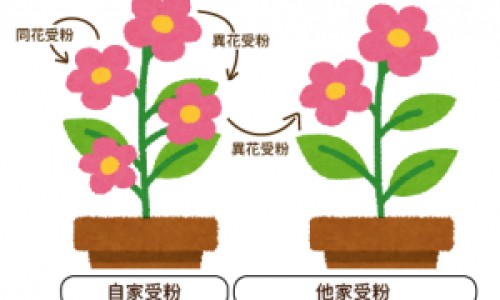 耳塞症和美尼尔氏综合症的区别是什么-美尼耳式综合症、美尼尔综合征耳闷涨感 -耳塞症和美尼尔氏综合症的区别网